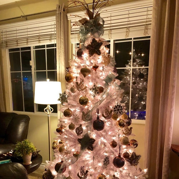 Meet your Posher, Tara - Picture 1 of 1